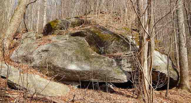 Rock Outcroppings Seen in Florence Nature Preserve